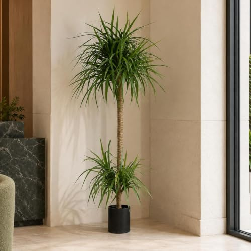 Leaf Design UK Artificial Yukka Tropical House Plant