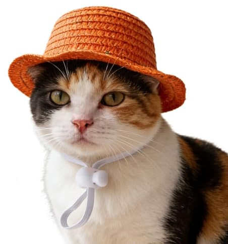 Hats for Cats - Straw Novelty Funny Lightweight Apparel | Dog Beach Hat | for Summer Birthday Halloween New Year Home Garden Daily Outdoor