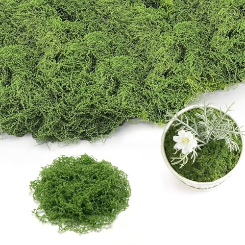 Jiaoshou Pan 200g Musgo Artificial para Decorar, Musgo Falso Vegetal | Lavable sin Pelusa, para Manualidades, Pesebre, Decoración de Pared, Acuario ( 200g Verde Oscuro)