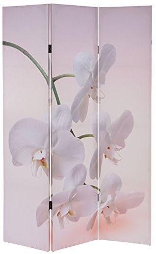 Mendler Foto-Paravent T233AM, Paravent Trennwand FSC-Zertifiziert 180x120cm - Orchidee