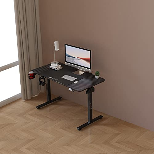 pro.tec Höhenverstellbarer Schreibtisch Stryn Computertisch 120 x 60 cm Bürotisch elektrisch verstellbare Höhe 72-117 cm Arbeitstisch rechteckig Memory-Funktion Schwarz
