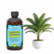 Premium Liquid Palm Tree Plant Fertilizer - 3-1-2 Concentrate for Indoor Plants and Flowers by GardenNova | Organic Plant Food for Palm Trees - 8oz