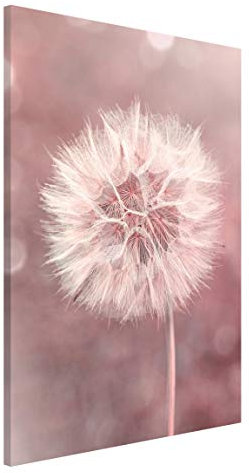 Magnettafel Pinnwand für Magnete Blumen Floral Magnetboard - Magnetwand Made in Germany - Pusteblume Modern Notiztafel rosa Küche Flur Büro Visionboard WBMT_3741 (40x60cm)