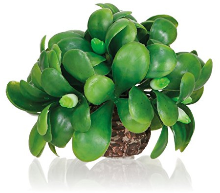biOrb 55076