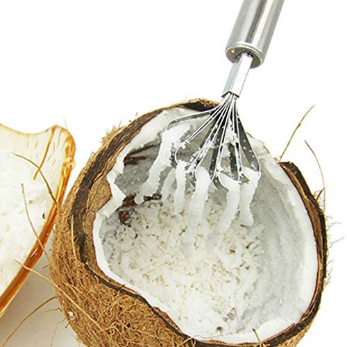 BYFRI Stainless Steel Coconut Shaver Fruit Fish Skin Scale Peeler Coconut Shaver Kitchen Cutter Portable Life Helper