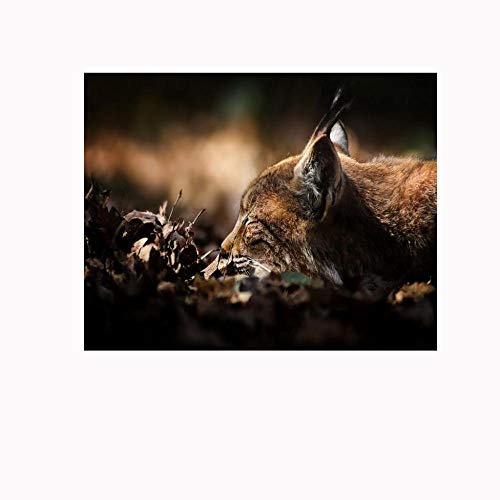 Mural Self- Adhesive Photo Wallpaper Tiger 175x210cm Decoration Poster Picture Design Modern for Living Room Bedroom