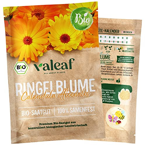 BIO Ringelblumen Samen - Samenfestes Bio-Saatgut für Garten, Balkonkasten & bunte Wildblumenwiese
