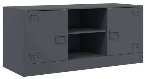 vidaXL TV Schrank, Lowboard für Fernseher, Fernsehtisch mit Stauraum, Fernsehschrank für Wohnzimmer, TV Möbel HiFi-Schrank, Anthrazit Stahl