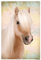 REINDERS Poster, Sweet Horse, Kinderzimmer, Poster, Wanddeko, Room Decor, 150 gr. glänzend Bilderdruckpapier, Braun, 91,5x61cm