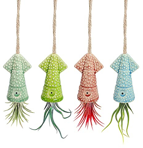 Mimeela Paquete de 4 Soportes para Plantas de Aire únicos, Bonitos Soportes para Plantas de Aire de Calamar, macetas de cerámica Tillandsia, decoración de Pared para el hogar y la Oficina
