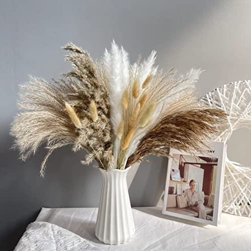 Lot de 72 Herbes de La Pampa Séchées Naturelle Décoration, Bouquet de Pampa Fleurs Compositions Séchée Blanche Beige, Tiges de Pampas Plumes Plantes pour Déco Intérieur, Chambre, Boho Mariage