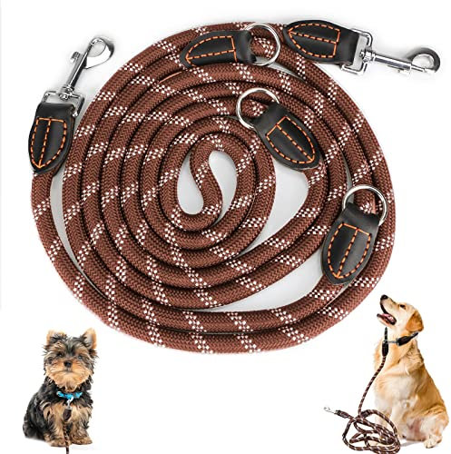 Hundeleine für große und mittelgroße Hunde - Verstellbare Doppelleine aus Nylon mit 2 Karabinerhaken und 3 Ringen - 3m x 15mm - Braun
