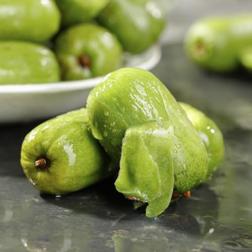 100 pcs kiwibeeren pflanze kaufen samen - bonsai bäumchen kaufen winterfeste pflanzen für balkon Actinidia chinensis, bonzai baum pflanztopf winterharte kübelpflanzen bonsai baum dankeschön