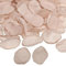 PATIKIL Silk Rose Petals, 200 Pcs Artificial Flower Petals for Wedding Decorations, Romantic Night, Aisle Scatter Petals, Light Champagne