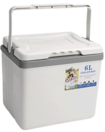 rockible Réfrigérateur Portatif Isolé, Petit Réfrigérateur Portatif pour Barbecue Alimentaire, 6l
