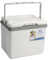 rockible Réfrigérateur Portatif Isolé, Petit Réfrigérateur Portatif pour Barbecue Alimentaire, 6l