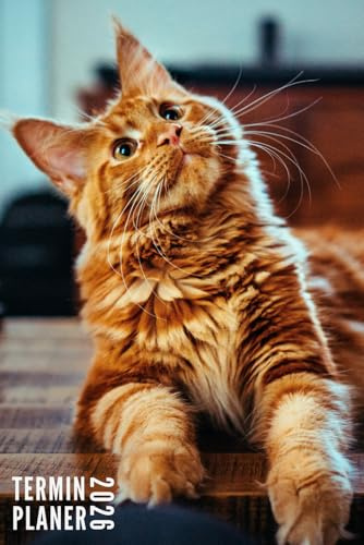 Terminplaner 2026: Katze - Taschenkalender | 12 Monate | Wochenplaner, Terminkalender von Januar bis Dezember 2026 Ideal für Studenten, Berufstätige ... | Monatsplaner, Kontaktliste, Notizen