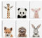 Hambient Poster Kinderzimmer - Bilder Babyzimmer Deko, Junge, Mädchen - Wandbilder, Kinderposter, Dekoration - 6er Bild Set (21 x 30 cm - Ohne Rahmen, Tiere Dschungeltiere Aquarell)