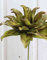 artplants.de Kunst Agave DANINA, grün, 35cm, Ø30cm - Künstliche Agave