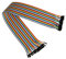 Kabelmeister - Jumper Wire/Drahtbrücken-Kabel - Buchse an Buchse (Female to Female) - 20cm - 40-Pin trennbare Adern für Arduino, Raspberry Pi, Banana Pi, Breadboad, Steckboard etc.