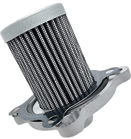 LOOR Filtro auto 330953KAA0 Filtro Gas Naturale Gpl per Azera 1998-2010 Opirus 2004-2011 33095-3KAA0