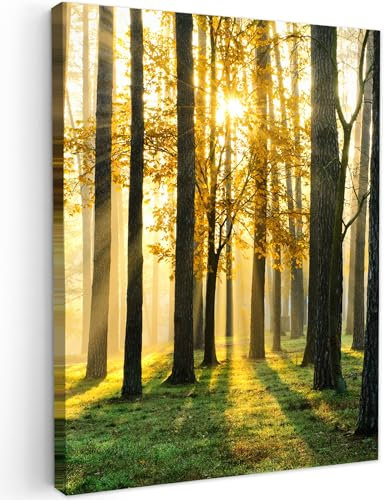 MuchoWow© Leinwand Bilder 50x70 cm Wanddeko Wohnzimmer Aesthetic Room Decor Deko Zimmer Wandbilder Modern Fotogeschenke Bild Wald - Sonne - Bäume - Gras - Landschaft - Natur
