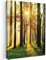 MuchoWow© Leinwand Bilder 50x70 cm Wanddeko Wohnzimmer Aesthetic Room Decor Deko Zimmer Wandbilder Modern Fotogeschenke Bild Wald - Sonne - Bäume - Gras - Landschaft - Natur