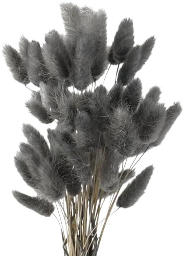 MHDAMAI Getrocknetes Pampasgras,Kaninchenschwanz Gras 60 Stück Natürlicher Trockenblumen Blumenstrauß Deko Künstlich Groß Trockenblumen Pampasgras für Inneneinrichtungen Fotografie Hochzeit Grau