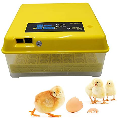 BINGQIAN Eier-Inkubator, Eier-Inkubator mit automatischem 56-Eier-Brutkasten, vollautomatischer Schlupf-Inkubator, Temperaturregelung, Feuchtigkeitsanzeige für Hühnerküken-Brutkasten