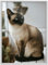 RAWWEST.BIS Alu Bilderrahmen 70x100 cm mit schnellem Montage-System Plakatrahmen, Alurahmen mit Acrylglas Rahmen aus Aluminium für Bilder Poster Fotos Posterrahmen Fotorahmen, Silber