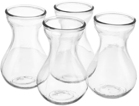 Healifty 4Pcs Small Clear Glass Vases for Hydroponic Plants Creative Hyacinth Bulb Vases for Home and Office Decor Transparent Flower Arrangement Centerpieces