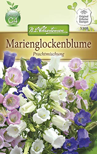 N.L. Chrestensen 5308 Marienglockenblume (Marienglockenblumensamen)