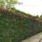 Gardline - Blutbuche 125-150cm IM TOPF. 3-200 Fagus Heckenpflanzen. Sichtschutz Buchenhecke - 6 St. (ca. 1,5 Meter)