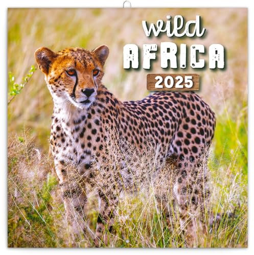 NOTIQUE Wandkalender Wild Africa 2025 Kalender, Broschürenkalender mit Monatskalendarium, Broschurkalender Tierkalender 30 x 30 cm (30x60 Geöffnet)