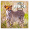 NOTIQUE Wandkalender Wild Africa 2025 Kalender, Broschürenkalender mit Monatskalendarium, Broschurkalender Tierkalender 30 x 30 cm (30x60 Geöffnet)