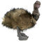 Teddys Rothenburg Kuscheltier Emu stehend grau 38 cm Plüschemu Plüschtier