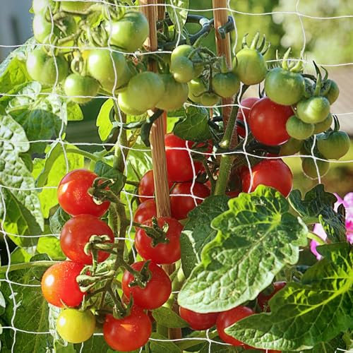 Trellis Netting, PDGROW Heavy Duty Garden Netting, 6 x 30 ft / 1.83 x 9.14m Plant Netting for Climbing Plants, Outdoor Indoor Grow Net for Bean Vine Vegetable Fruits and Flower, 2 PCs(One Pack)