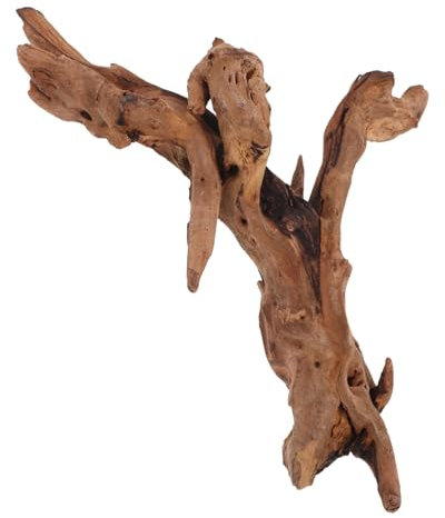 Toddmomy Naturbelassenes Totholz Für Aquarien Einzigartige Deko Für Fischbehälter Stabil Und Langlebig Schafft Lebensraum Für Fische Und Bringt Natürliche Eleganz Aquarium