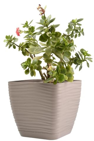 B2C Plant Pot Flowerpot Square Plastic Modern Decorative Wave Grooves Textured Elegant & Modern With Saucer (Taupe, 17cm)