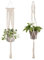 Makramee Blumenampel Hängend Innen, 4er Set Boho Deko Makramee Hängeampel mit Haken, Baumwollseil Blumentopf Hängend, Boho Zimmer Deko Aesthetic, Hängepflanzen Topf für Balkon Fenster Deko (Creme 2)