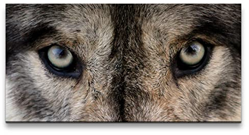 Paul Sinus Leinwandbild 120x60cm Wolf Augen Wild Wildnis Mystisch schönes Tier