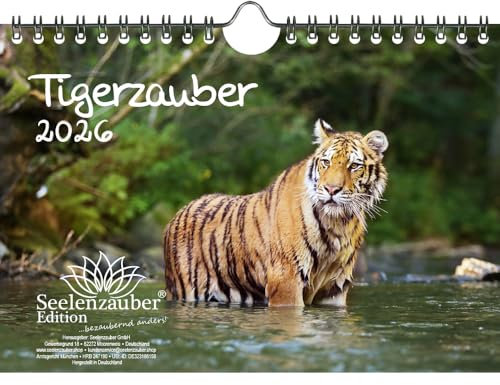 Tigerzauber DIN A5 Kalender für 2026 Tiger - Seelenzauber