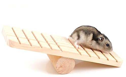 ibasenice Balançoire Bois pour Hamster Gerbille Jouet Suspendu Maison Décorative Petite Cachette Cage Animaux