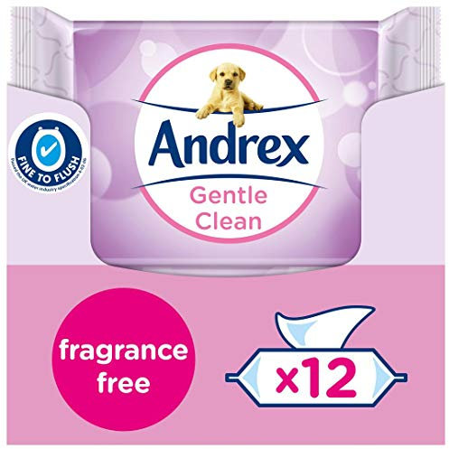 Andrex Gentle Fragrance Free Flushable Toilet Wipes certified 'Fine to Flush' Plastic Biodegradeable 12 Moist Toilet Tissue Packs, Pink, Unscented, 480 count
