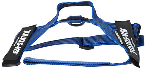 Julius-K9, IDC Color & Gray Belt Harness, Size: S / Mini, Blue - Gray