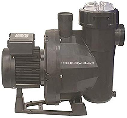 Suinga Pompe de piscine auto-aspirante Modèle à choisir (16 000 l/h 0,78 kW 1 CV Triphase)