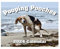 Dogs Pooping In Beautiful Places 2024 Beim Der Befreiende Bildband Kackende Hunde Kalender Lustige Welpenkalender 2024