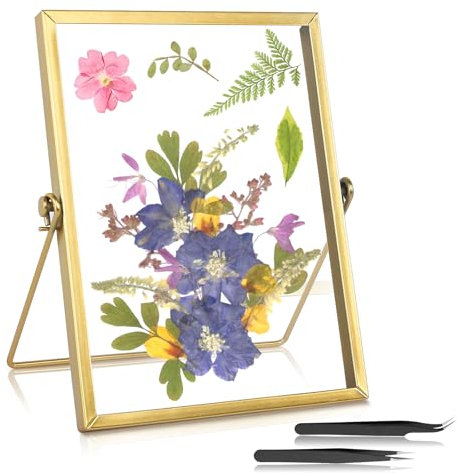 Glasbilderrahmen Bilderrahmen Gold Glasrahmen für Gepresste Blumen mit Pinzette Bilderrahmen Glas Beidseitig Stehend Glasrahmen für Zuhause und Büro Pflanzenprobe Getrockneter Blumen, 6 Zoll