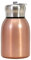 Jorzer Small Water Bottle 300ML Safe Stainless Steel Small Flask Vacuum Insulated Thermal Cup Leak-Proof Portable Mini Water Bottle with Hook for Indoor Outdoor Rose Gold