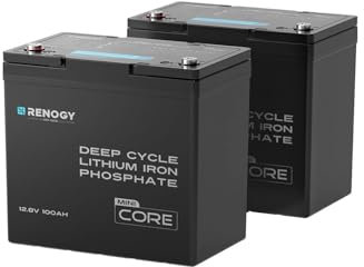 Renogy 200Ah 12V LiFePO4 Battery (2pcs 100AH Lithium Battery), Mini Size Lithium Iron Phosphate Leisure Battery with 5000+ Deep Cycles, IP65 and BMS Protection for Caravan, Boat and Solar Panel System